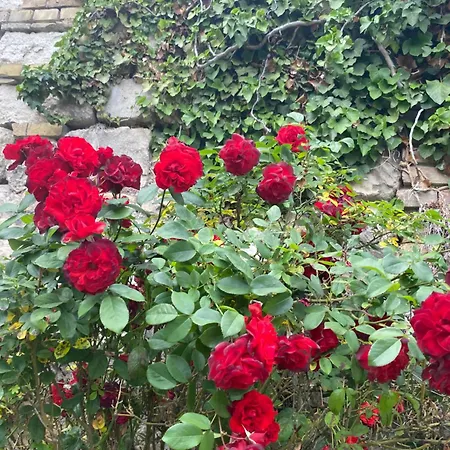 Privat Szobak 3 * Budaörs