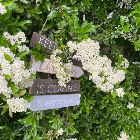 Alloggio in famiglia Privat Szobak 3