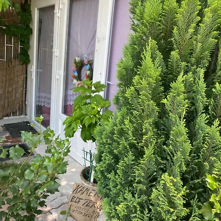 Alloggio in famiglia Privat Szobak 3 *