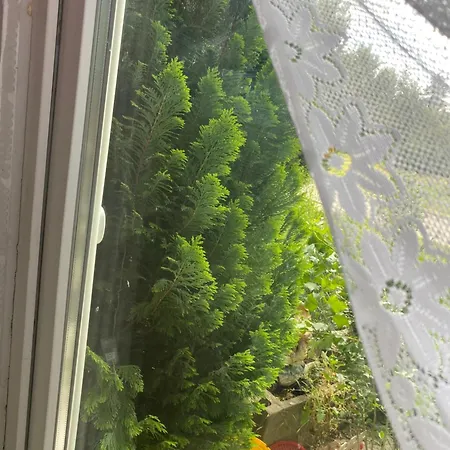 Privat Szobak 3 Alloggio in famiglia Budaörs