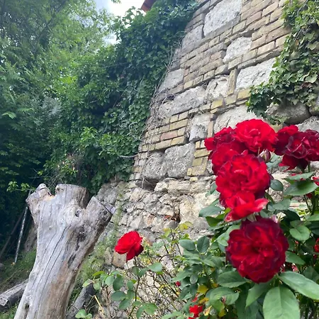 Alloggio in famiglia Privat Szobak 3 Budaörs