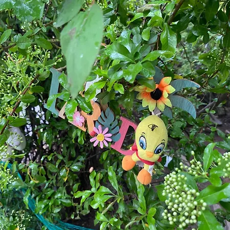 Privat Szobak 3 * Budaörs