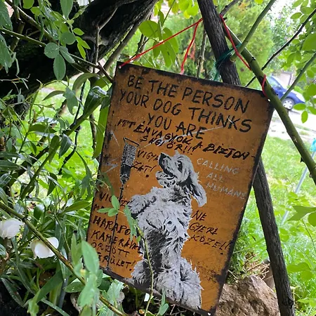 Privat Szobak 3 Gazde/Camere de închiriat Budaörs