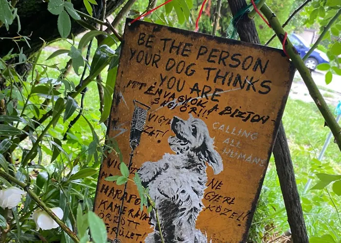 Privat Szobak 3 Rum i privatbostad Budaörs